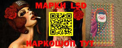 стафф Будённовск