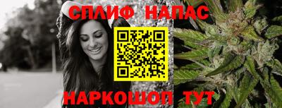 стафф Будённовск