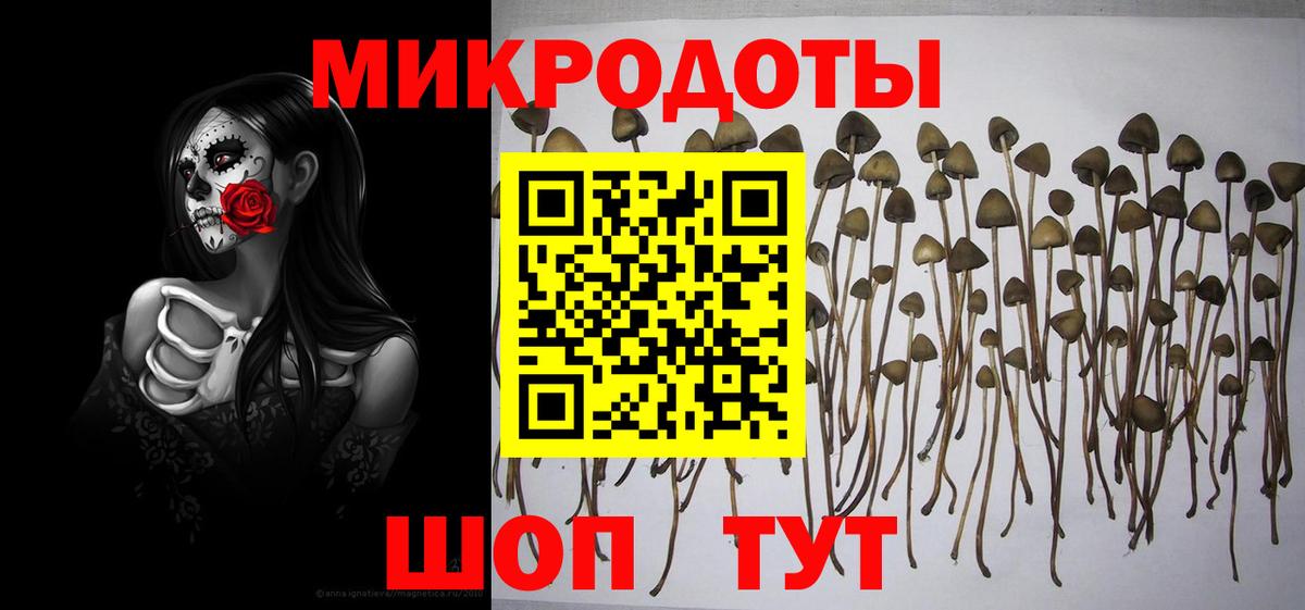 Куйбышев  Псилоцибиновые грибы Magic Shrooms  Вход с VPN 